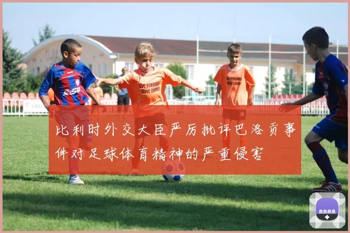 比利时外交大臣严厉批评巴洛贡事件对足球体育精神的严重侵害