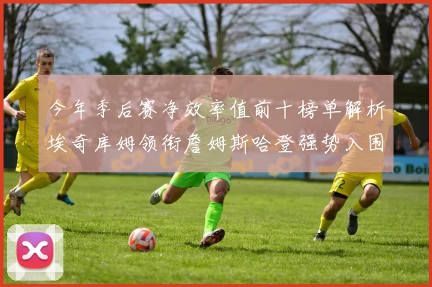今年季后赛净效率值前十榜单解析埃奇库姆领衔詹姆斯哈登强势入围